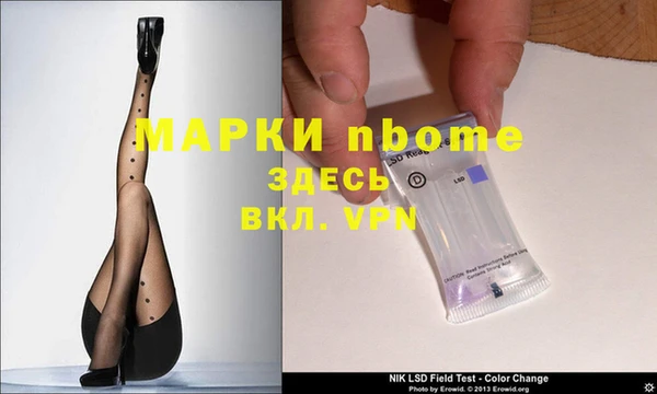 сатива Дмитров