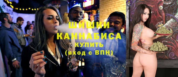 сатива Дмитров
