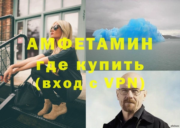 сатива Дмитров