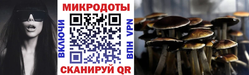 Галлюциногенные грибы Magic Shrooms  Купить закладки  Талица 